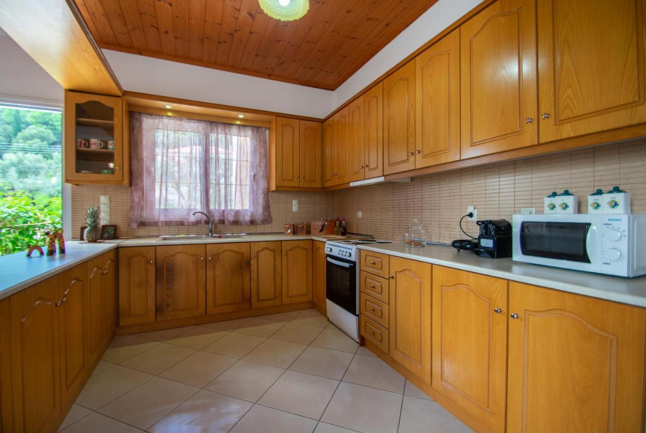 Family Private Homes & Sea View Lithakia  المظهر الخارجي الصورة
