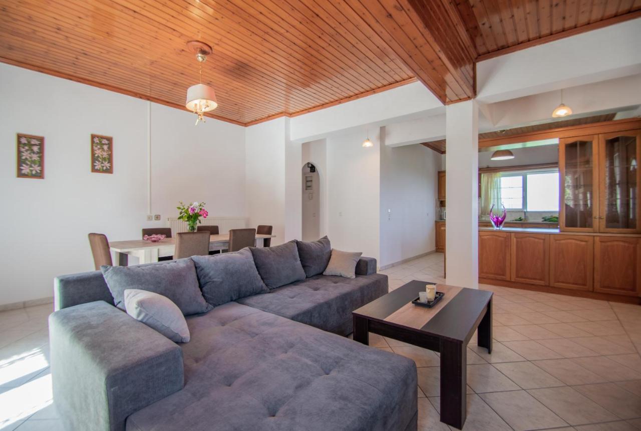Family Private Homes & Sea View Lithakia  المظهر الخارجي الصورة
